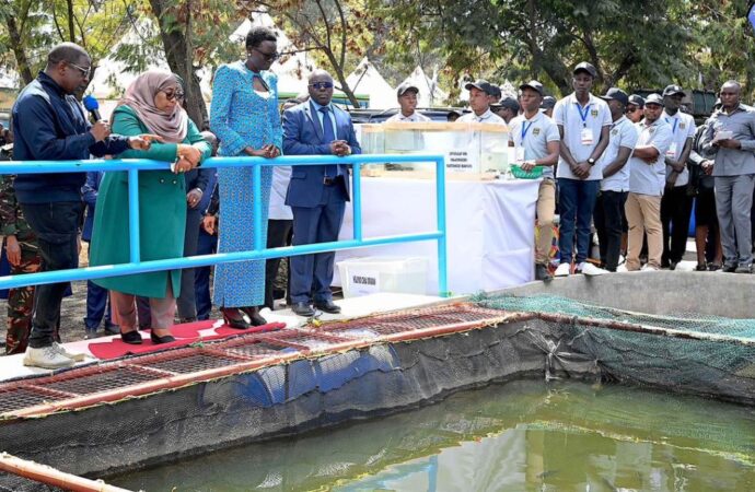 Sekta ya mifugo yaimarika zaidi chini ya Rais Samia Suluhu.